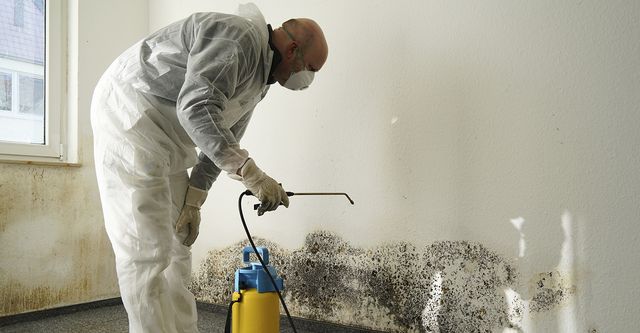 Mold Remediation