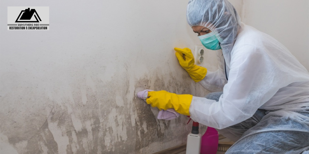 Contact 2 Brothers R&E today to schedule your comprehensive mold inspection services. As your trusted certified mold remediation contractor in Tampa, we're ready to tackle any mold challenge, ensuring your home remains a safe and healthy environment for years to come.